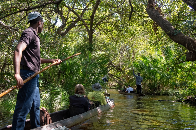 Απολαύστε πλωτό σαφάρι στο Δέλτα του Οκαβάνγκο
