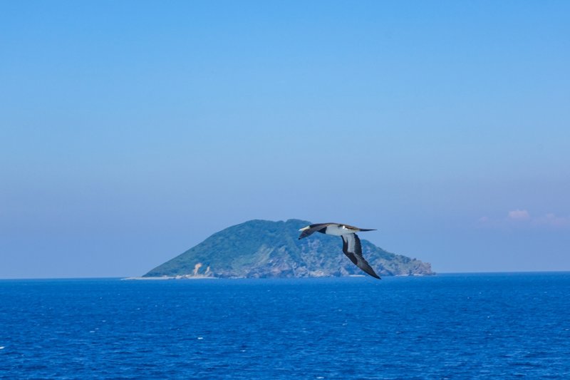 ΕΝ ΠΛΩ