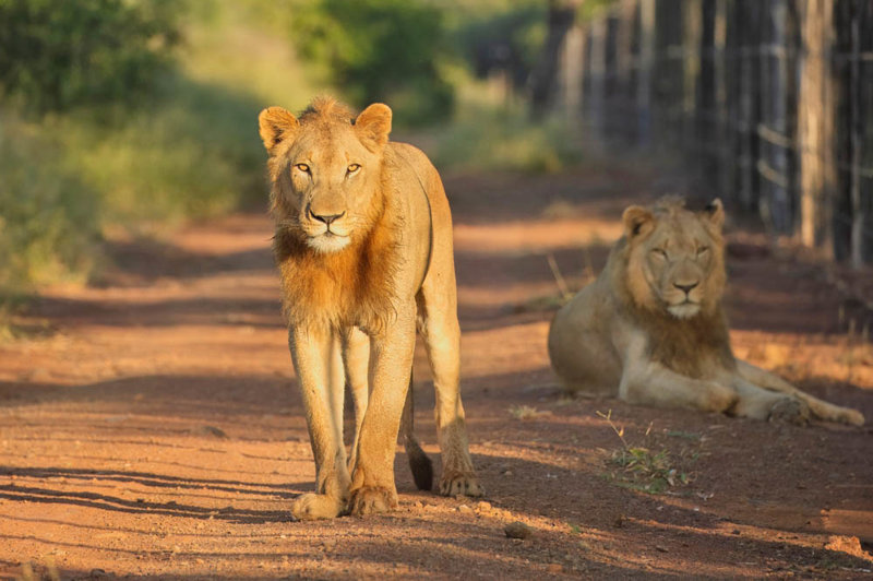 Εθνικό Πάρκο Τσόμπε