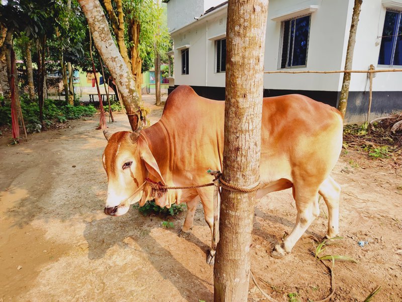 Εξερευνώντας το βορειοδυτικό τόξο της χώρας