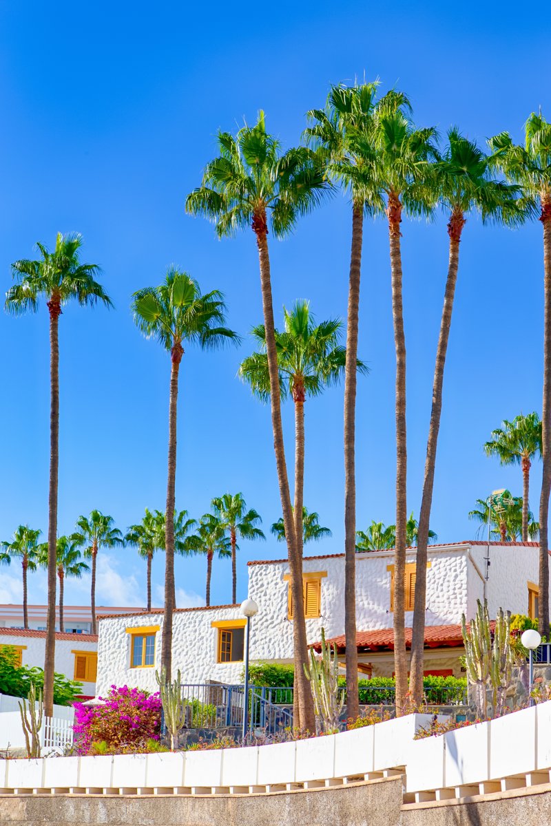 ΛΑΣ ΠΑΛΜΑΣ (Γκραν Κανάρια) – ΑΓΚΕΤΕ – διαδρομή με φεριμπότ – ΜΟΡΡΟ ΧΑΜΠΛΕ  (Φουερτεβεντούρα) – ΠΟΥΕΡΤΟ ΝΤΕΛ ΡΟΣΑΡΙΟ:  εκδρομή στις ΑΛΥΚΕΣ ΚΑΡΜΕΝ – ΑΧΟΥΙ – ΜΠΕΤΑΝΚΟΥΡΙΑ – ΟΛΙΒΑ