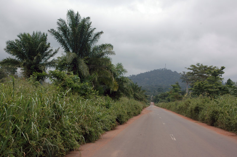 Διαδρομή στη μοναδική φύση της Ακτής Ελεφαντοστού