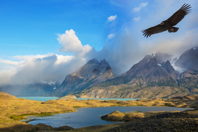 ΠΟΥΕΡΤΟ ΝΑΤΑΛΕΣ – ΤΟΡΡΕΣ ΝΤΕΛ ΠΑΪΝΕ – ΕΛ ΚΑΛΑΦΑΤΕ 