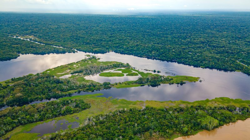ΠΟΥΕΡΤΟ ΜΑΛΔΟΝΑΔΟ (Αμαζονία)