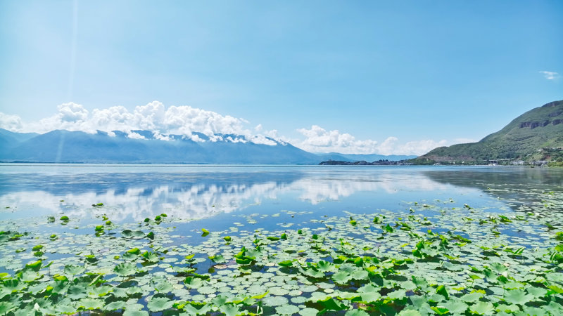 ΝΤΑΛΙ – ΚΟΥΝΜΙΝΓΚ