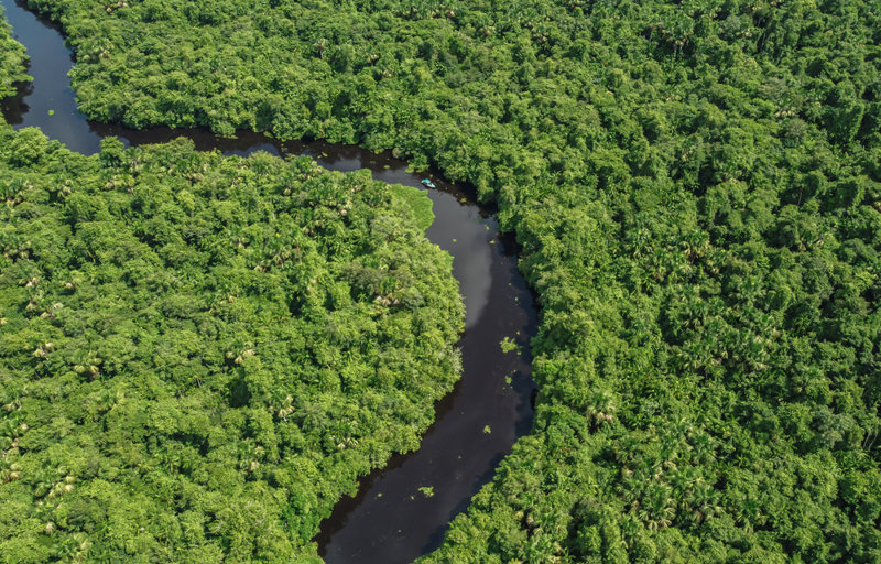 Το Δέλτα του Oρινόκο
