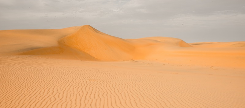 Βόλτα με καμήλα στην έρημο