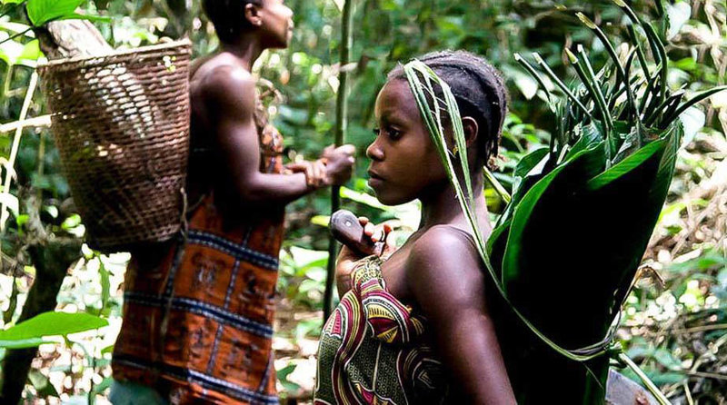 Συναντάμε κοινότητες Πυγμαίων 