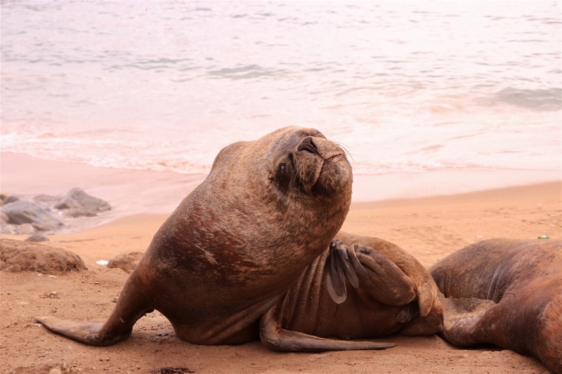 Σαντιάγο, Βαλπαραΐσο και Βίνια Ντελ Μαρ