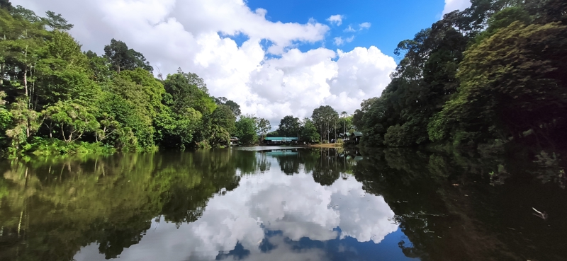 ΣΑΝΤΑΚΑΝ – ΣΕΠΙΛΟΚ – ΣΟΥΚΑΟΥ (Ζούγκλα Κιναμπαταγκάν)