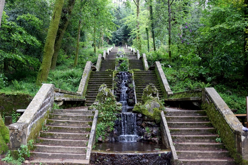 Ο Εθνικός Δρυμός Μπουσάκο