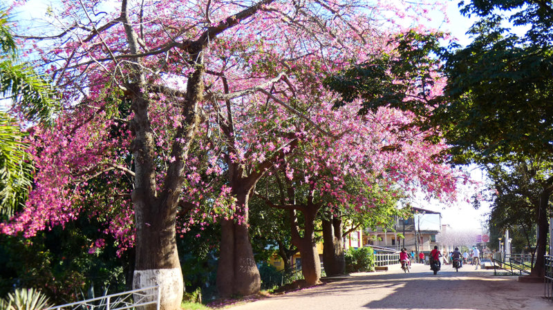 Το Τρινιδάδ