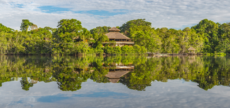Το παρατηρητήριο της  ζούγκλας