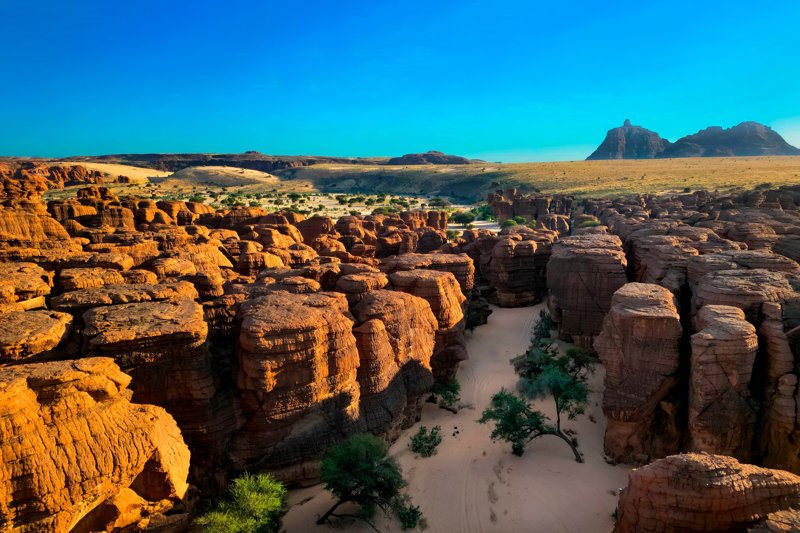 ΟΥΑΡΝΤΑ – ΜΠΑΜΕΝΑ: Αψίδα Aloba – ΟΥΑΡΝΤΑ 