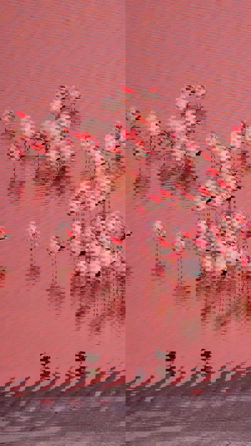 Θαυμάζουμε το Εθνικό Πάρκο Αβαρόα