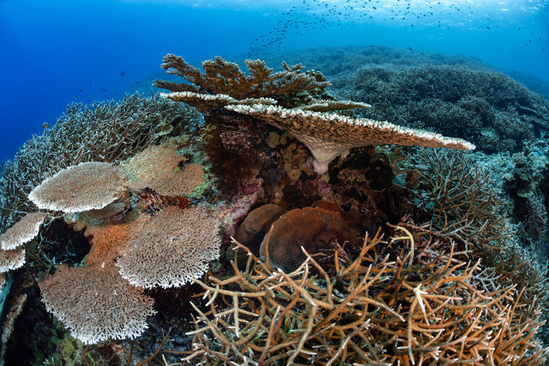 Το πανέμορφο νησί Mπαντανέιρα