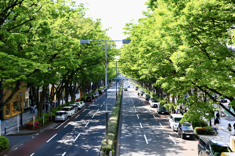 Η περιοχή Ομοτεσαντό