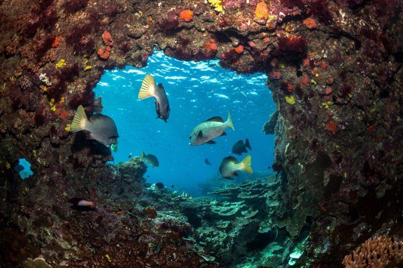 Εμπειρίες στη θάλασσα 