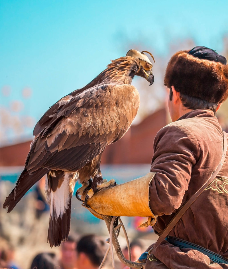 Eagle Hunting Presentation 