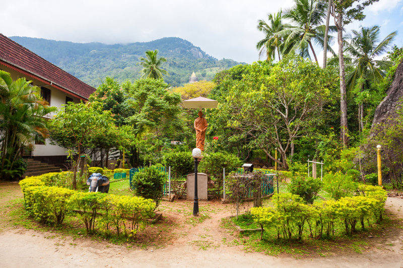 Ο κήπος μπαχαρικών στο Ματάλε 