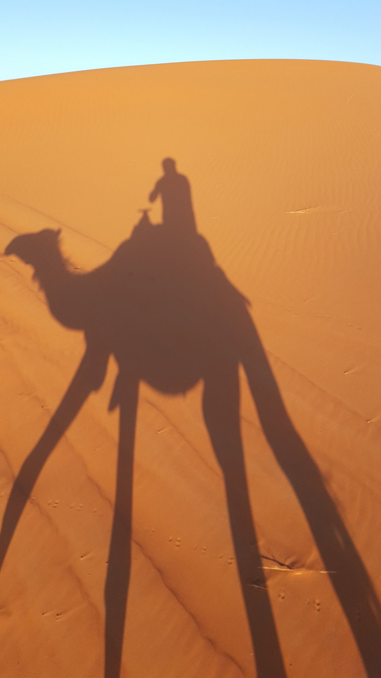 Σπάνιες διανυκτερεύσεις στο Ερφούντ