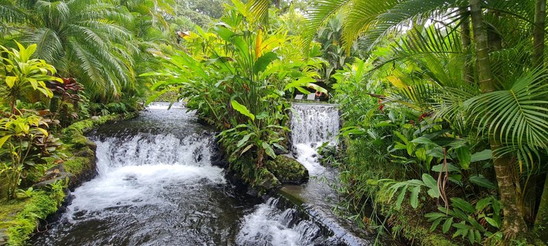 To Εθνικό Πάρκο Aρενάλ 