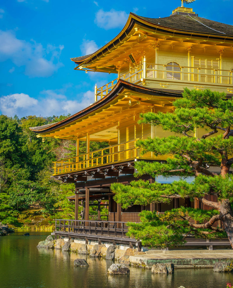 Το χρυσό Κινακούτζι