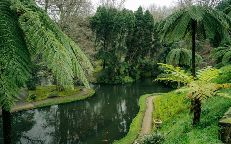 ΠΟΝΤΑ ΝΤΕΛΓΑΝΤΑ: ΕΚΔΡΟΜΗ ΣΤΑ ΡΙΜΠΕΪΡΑ ΓΚΡΑΝΤΕ – ΛΑΓΚΟΑ ΝΤΑΣ ΦΟΥΡΝΑΣ – ΠΑΡΚΟ ΤΕΡΡΑ ΝΟΣΤΡΑ