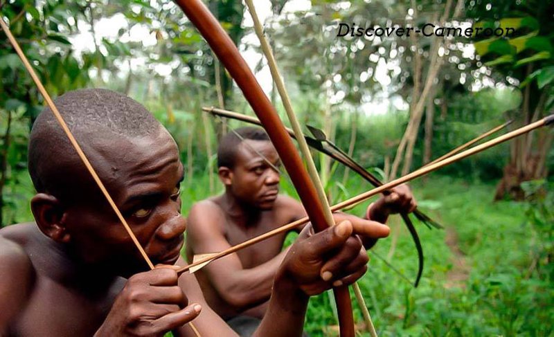 Πυγμαίοι στο Καμερούν