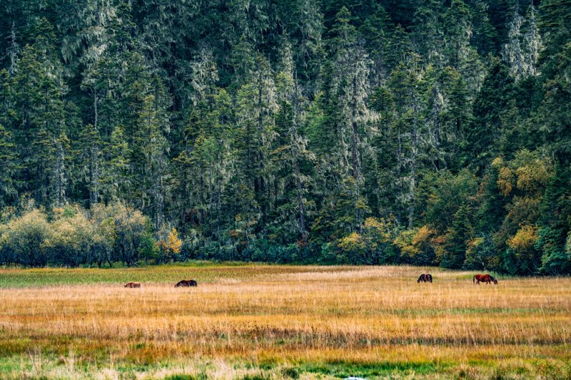 Βόλτα στο Εθνικό Πάρκο Pudacuo