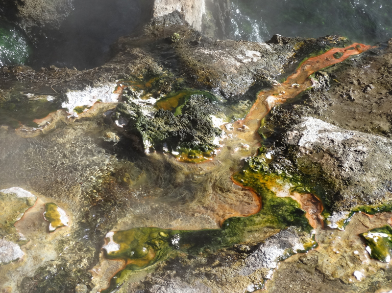 Λευκό Γκέιζερ (Blanco Geyser)