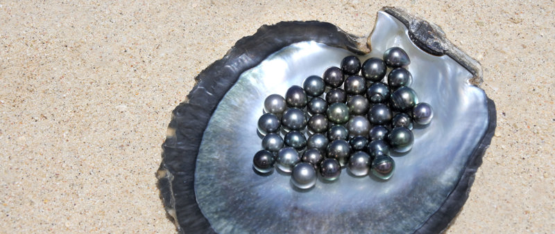 Τα μαργαριτάρια της Ταϊτής