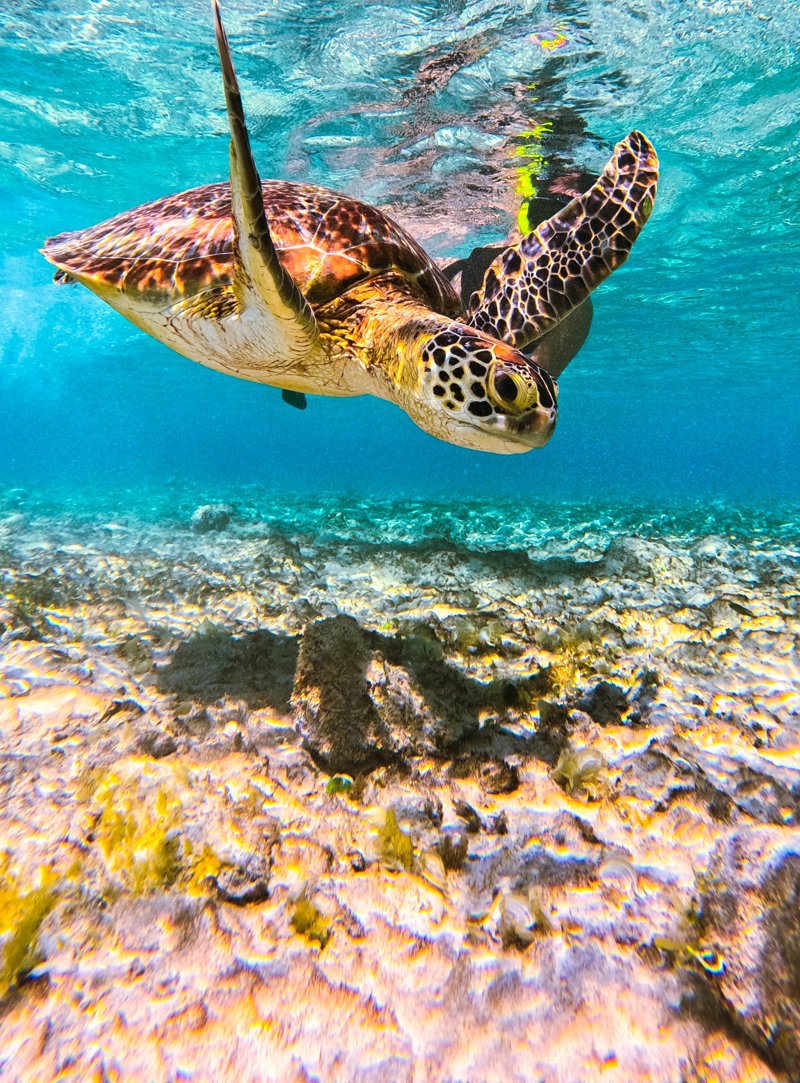 Μοναδικές δραστηριότητες σε εξωτικούς παραδείσους 