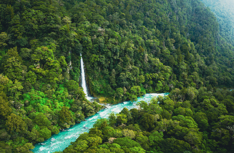 Nέα Ζηλανδία, μια "κιβωτός" της φύσης