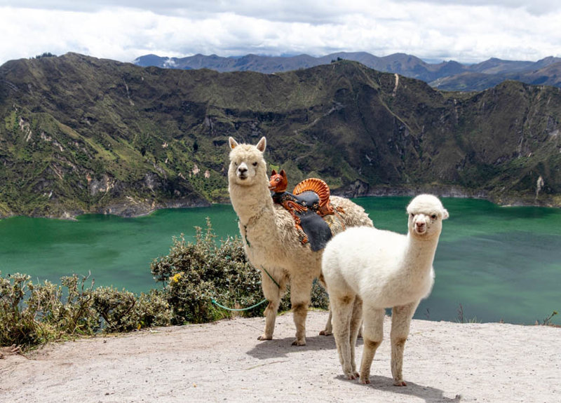 Εκουαδόρ & Κολομβία