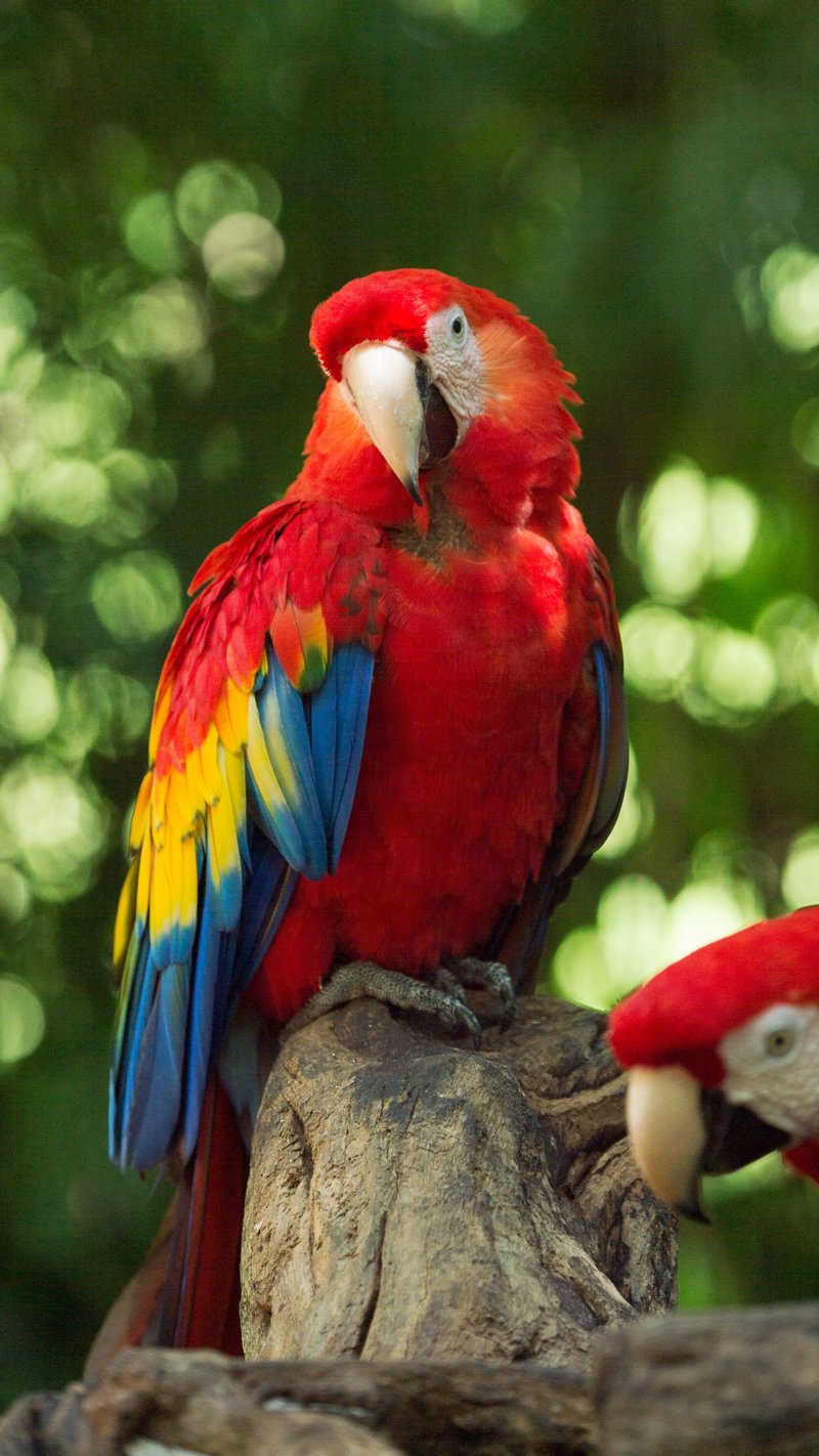 Επίσκεψη στο θεματικό πάρκο Xcaret