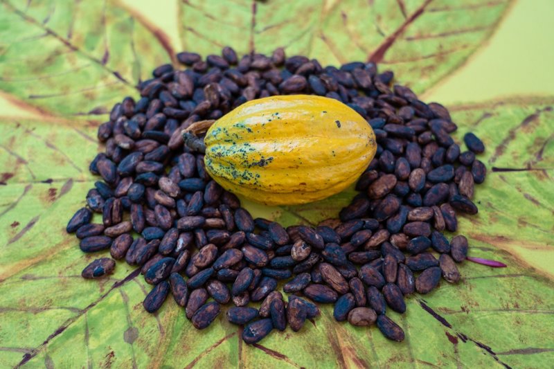 Επίσκεψη σε φάρμα ιθαγενών