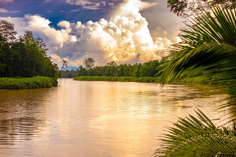 Ατομικό ταξίδι στη ζούγκα του Βόρνεο: Κουάλα Λουμπούρ και Ποταμός Κιναμπαταγκάν