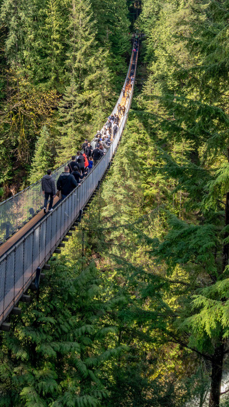 Είσοδος και διαδρομή στη γέφυρα Καπιλάνο