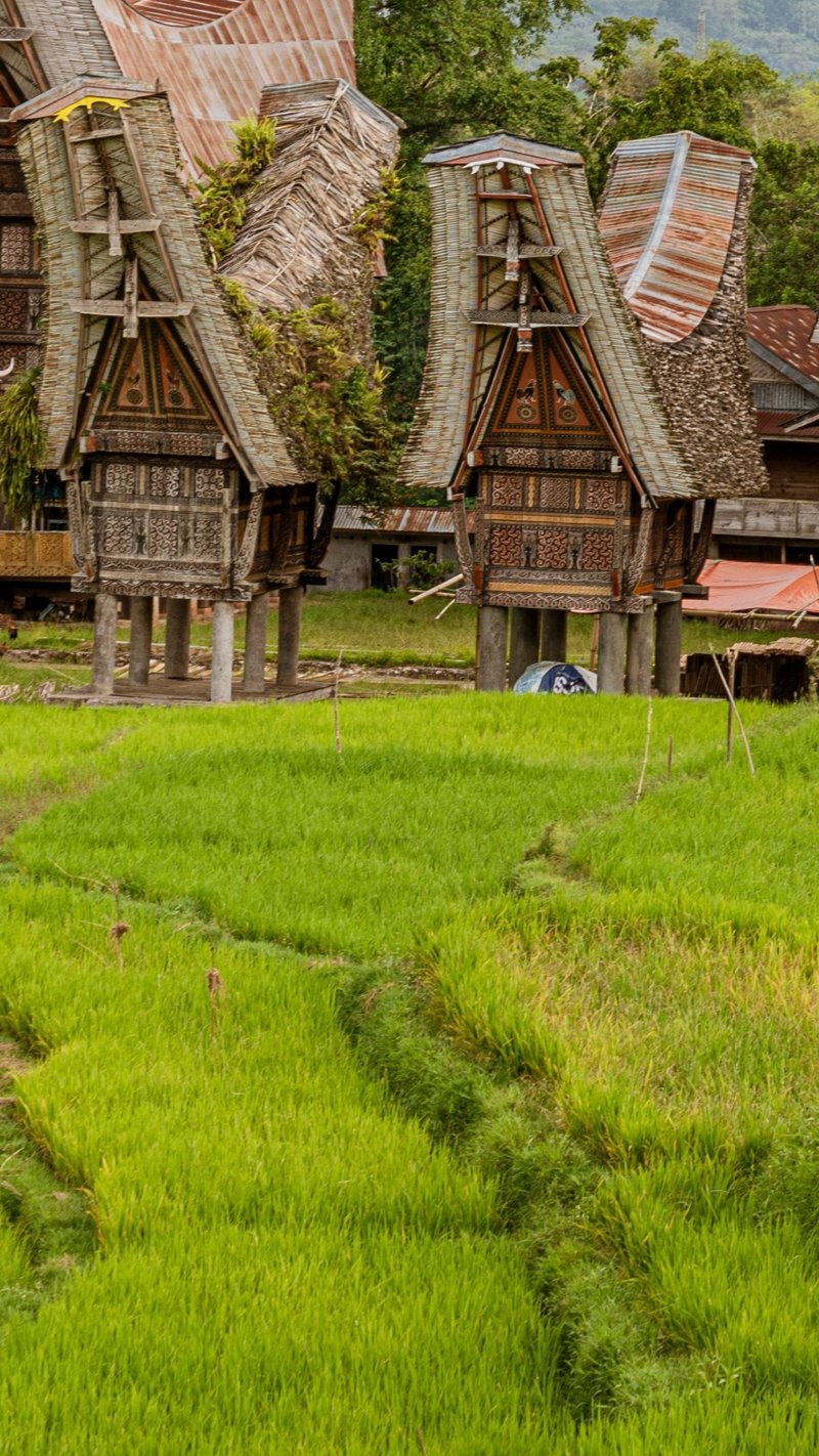 Μοναδικές εμπειρίες Versus Travel