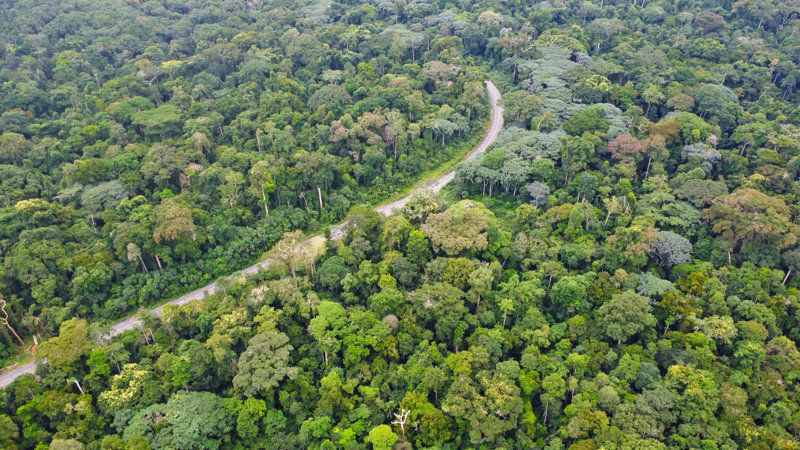 ΤΟ ΤΕΛΟΣ ΤΗΣ ΖΟΥΓΚΛΑΣ – ΕΠΙΣΤΡΟΦΗ ΣΤΟ ΚΑΜΕΡΟΥΝ 