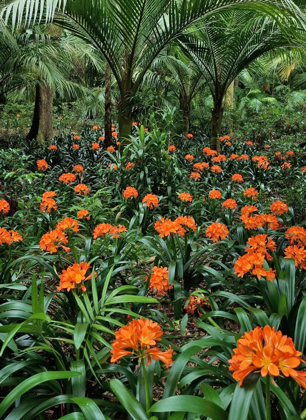 Προκαθορισμένο κόστος 