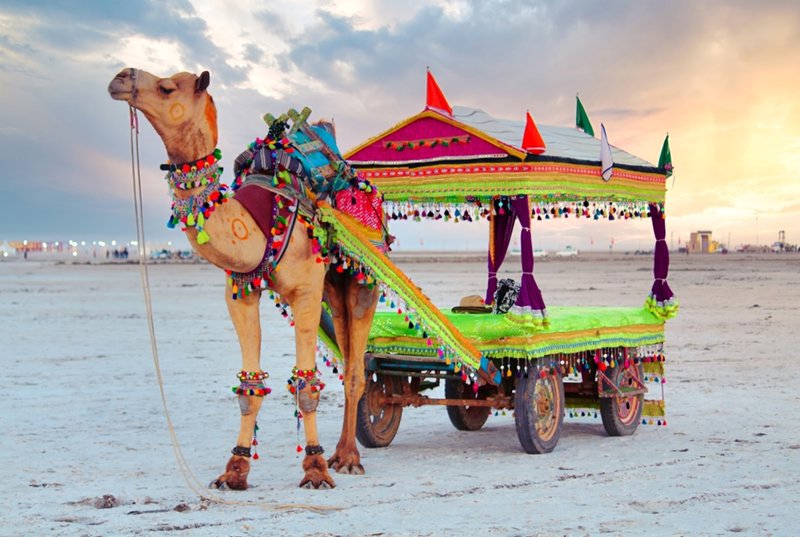 Φεστιβάλ Rann Utsav: Η Μαγεία της Λευκής Ερήμου του Κουτς