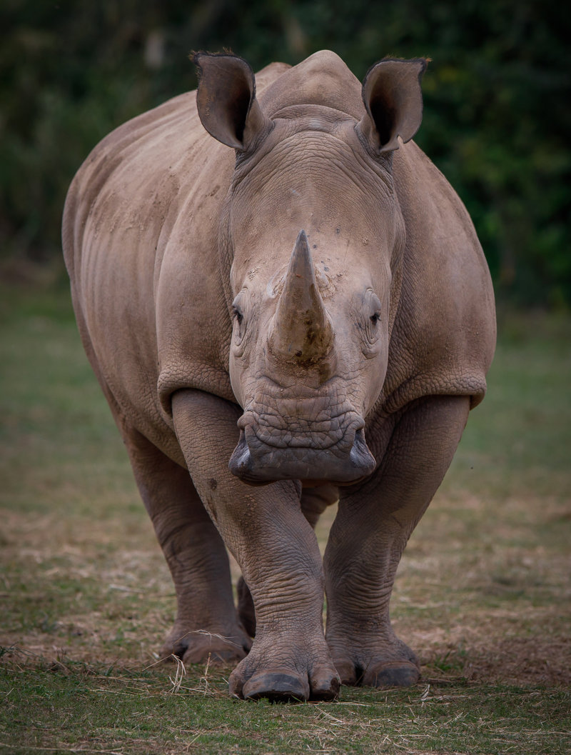 Επίσκεψη στο Καταφύγιο Ζίβα