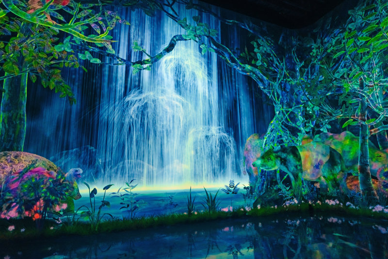 TeamLab Planets , Τόκυο