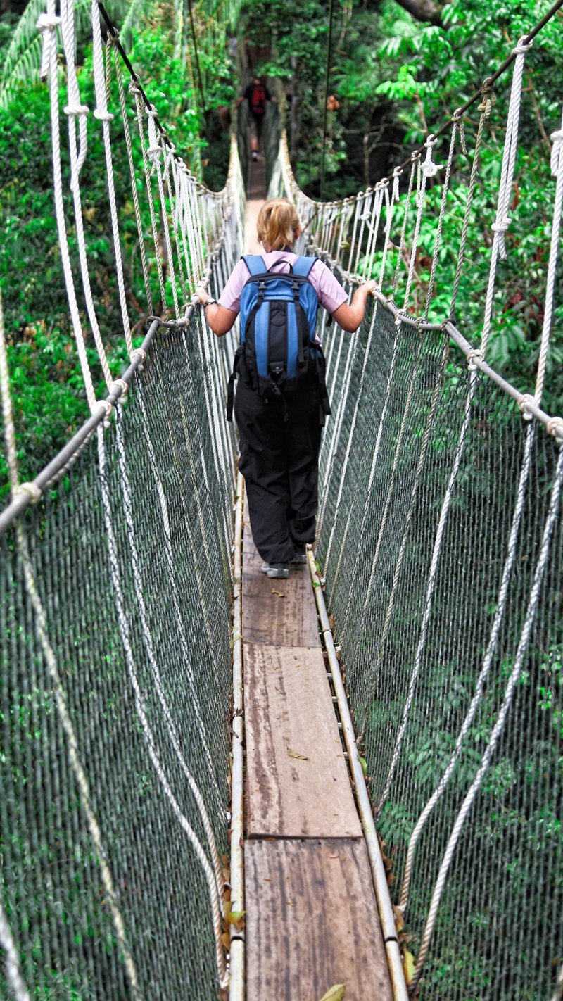 Συναρπαστικές εμπειρίες στη ζούγκλα Ταμάν Νεγκάρα