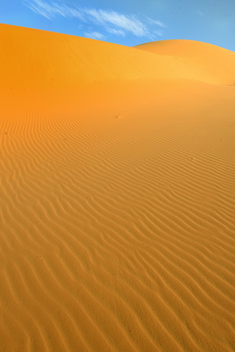 Πλήρης διατροφή στη Σαχάρα