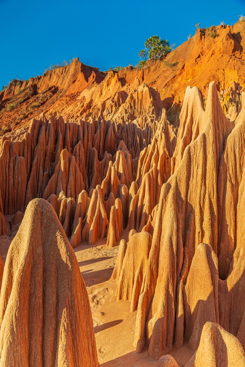 Ανακαλύπτοντας την δυτική Μαδαγασκάρη