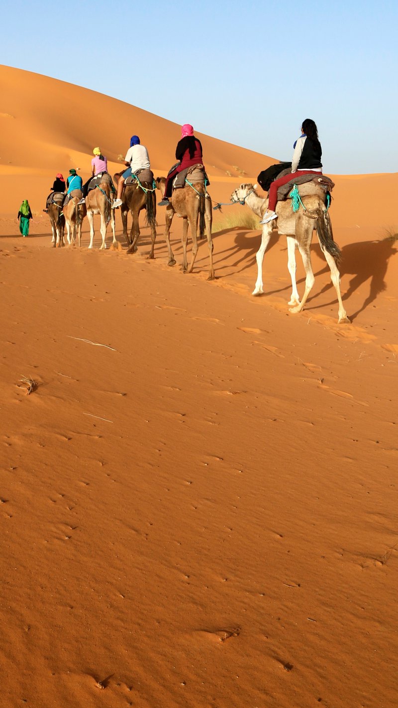 Βεδουΐνικο δείπνο στην έρημο