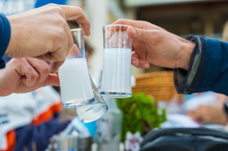 Επίσκεψη σε αποστακτήριο ούζου στο Πλωμάρι